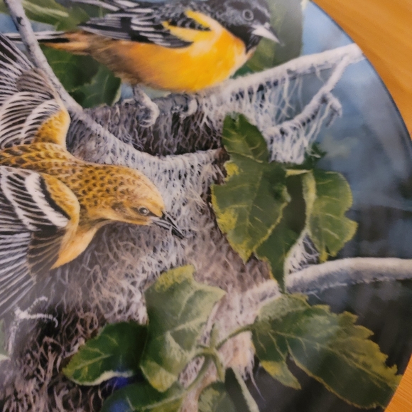 ENCYCLOPEDIA BRITANNICA "BIRDS IN YOUR GARDEN" COLLECTORS PLATE 12650C LIMITED - Picture 5 of 11